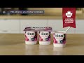 Canadian Harvest IÖGO Yogurt Donate With Cherries 100 Harvested Right Here