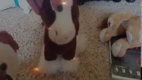 Shut up and dance WMV