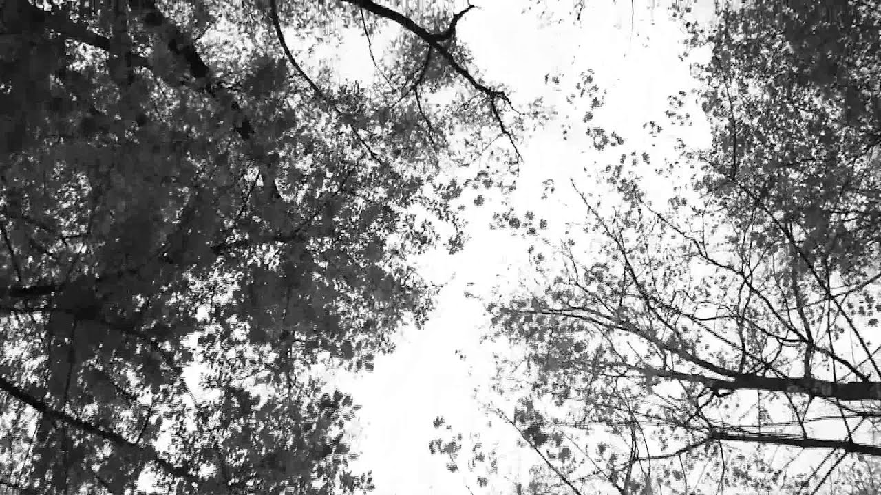 Sleduj Mind Over Midi - Under The Weather na YouTube Sleduj Mind Over Midi - Under The Weather na YouTube