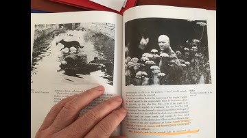 Tarkovsky, Leadership and Art