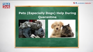 Pets, Especially Dogs, Help During Quarantine