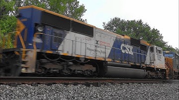 ✈🚄🚚 Planes, Trains, Trucks, & More! 🦌🐿🦅