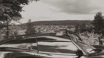 SWITCHER - Forgive and forget