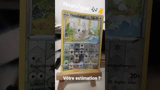 Magnifique Chinchidou revers carte Pokémon