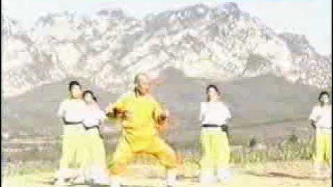 Shaolin pao quan