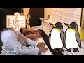 The Penguins（ペンギン）／Carolyn Miller（キャロリン　ミラー）【娘（4歳）と連弾してみた】