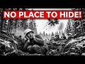 German Soldiers Thought Their Foxholes Were Safe—Until This Secret Weapon Arrived