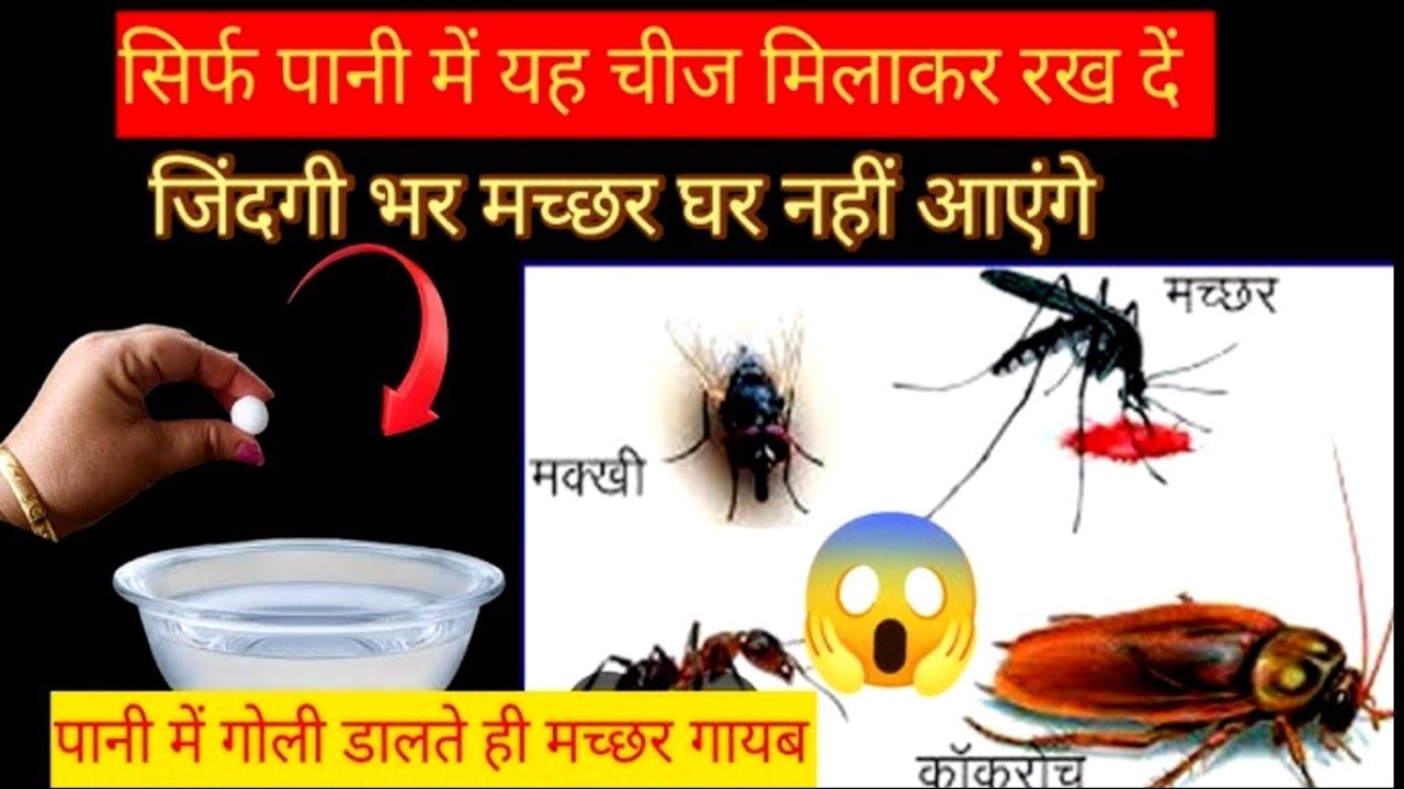 घर के सारे मच्छर मक्खी कॉकरोच सारे घर से बाहर भाग जाएंगे 💯 सिर्फ 10 मिनट में मच्छरों का सफाया 😱
