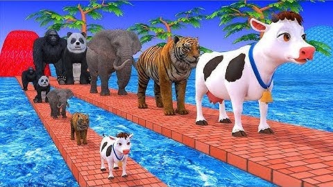 Cow Zebra Elephant Tiger monkey Guess The Right Animal ESCAPE CAGE CHALLENGE MYSTERY BOX #cartoon