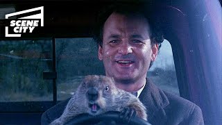 Groundhog Day: Taking the Groundhog With Me! (Bill Murray Scene)