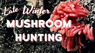 Winter Mushroom Hunting  Sticky Oysterlings, Slime Molds, and Truffle Crumbs, Oh My!