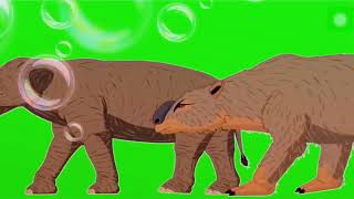 Cenozoic Animals Stampede Green Screen