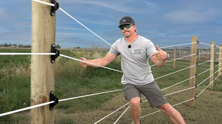 Why Isn't Everyone Using This Horse Fence?