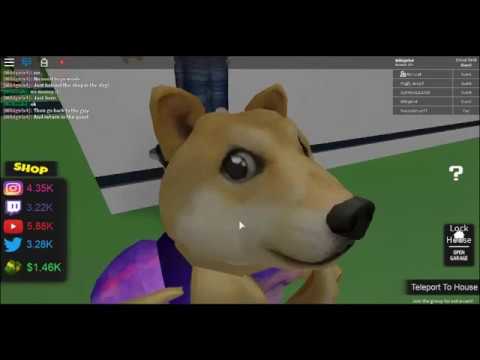 Where To Find Rat Aids Dog In Roblox Fame Simulator Wild Kid - rat simulator new roblox