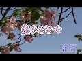 新曲「恋ひととせ」山口瑠美 カバー 2019年2月20日発売