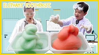Eksperimen cara membuat Pasta Gigi Gajah | Experiment Making ELephant Toothpaste