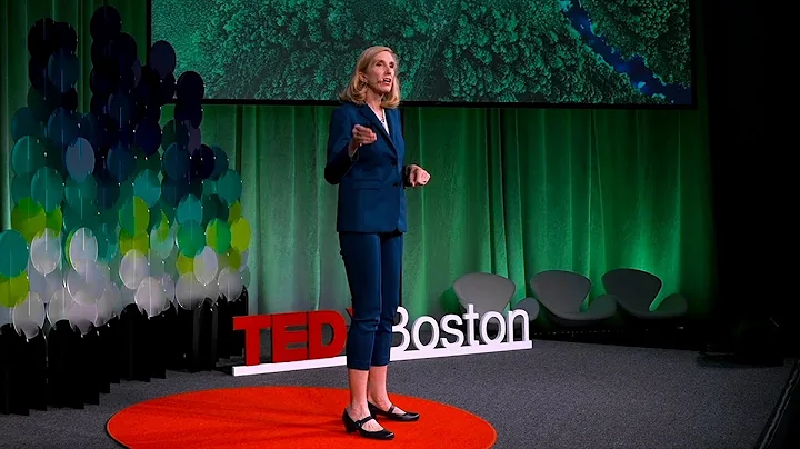 Investing in resilience is a great deal for people and the climate | Kari Nadeau | TEDxBoston
