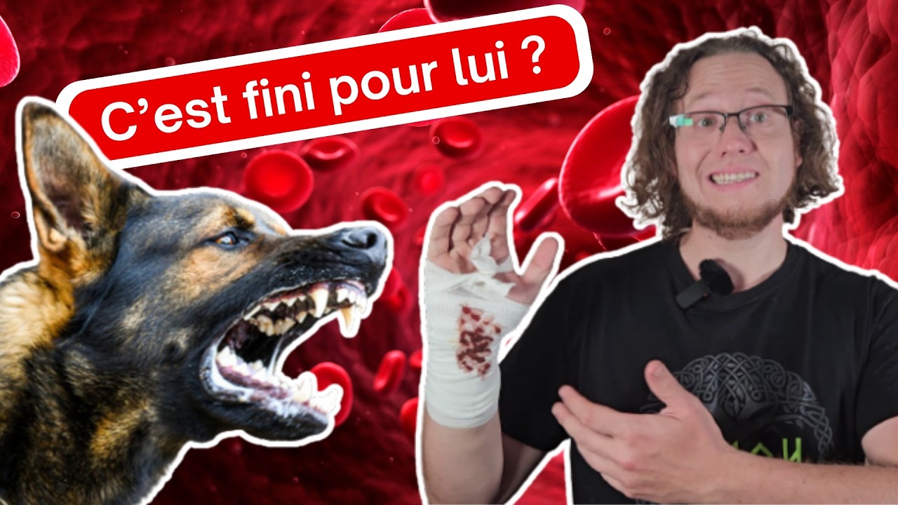 Mon chien à goûté le sang ! Je dois le piquer ? - YouTube