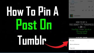 How to Pin a Post on Tumblr