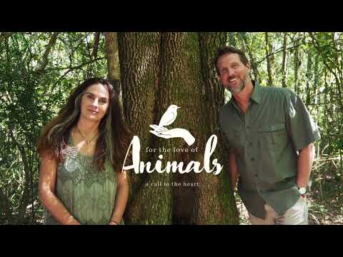 Introductory webinar: For the Love of Animals