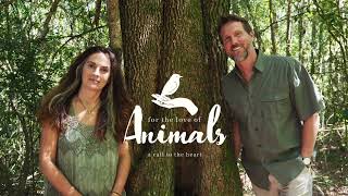 Introductory webinar: For the Love of Animals