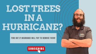 Lost Trees in a Hurricane? Find Out If Insurance Will Pay to Remove Them!