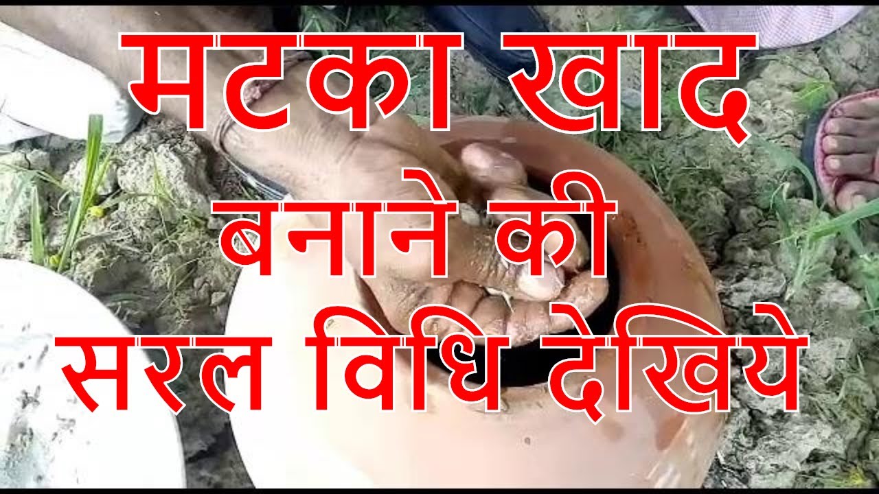 मटका खाद कैसे बनाये?,मटका खाद बनाने की सरल विधि देखिये,matka khad banane ki saral vidhi dekhiye