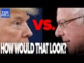 Panel: What would a Sanders-Trump match-up look like?