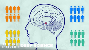 What Everyone Gets Wrong About Implicit Bias Trainings