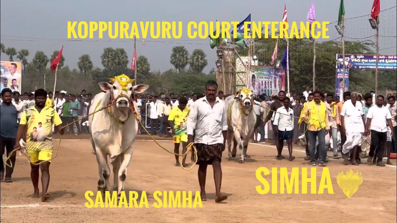 SIMHA AND SAMARASIMHA KOPPURAVURU COURT ENTERANCE🦁🔥