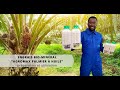 Prparation de la solution du traitement dagromax palmier  huile