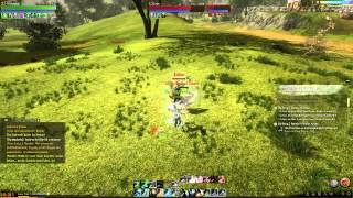 How to kill a bot in Archeage