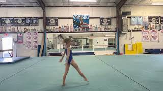 Meow Meow Level 4 New Floor March 2022