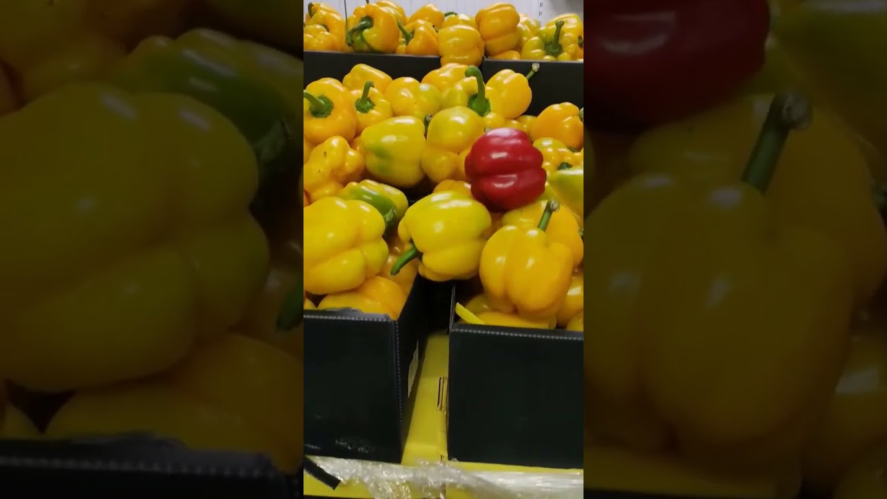 Купить Овощи И Фрукты В Краснодаре