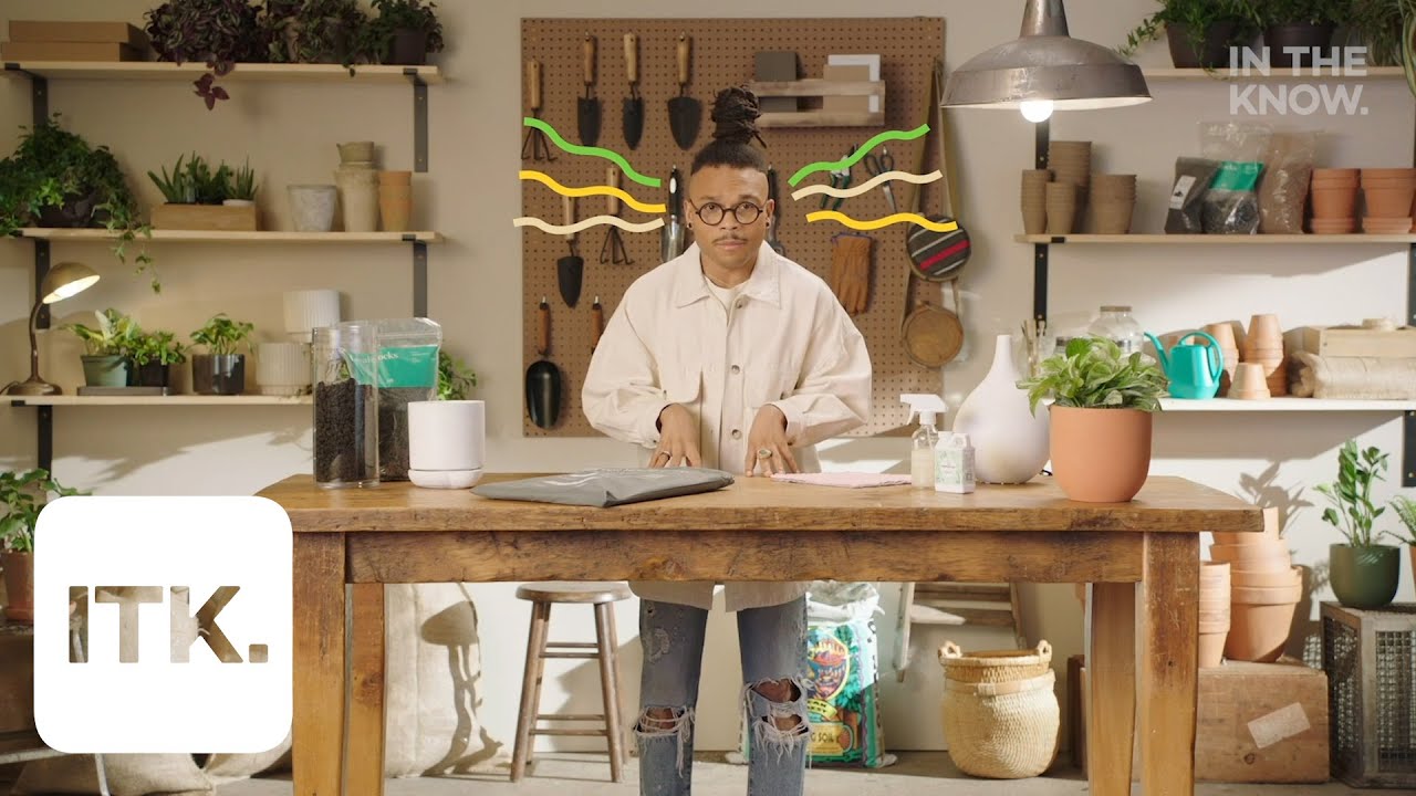 Here's how to take care of your sick plant