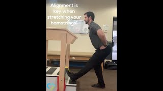 Hamstring Stretch
