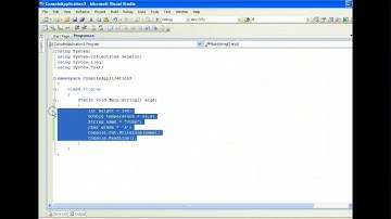 Simple Console Input Output C#