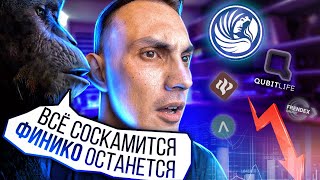 FINIKO, QUBITLIFE - у кого первый SCAM???