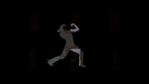 Highlights of the Site Specific Performance (April 2017)