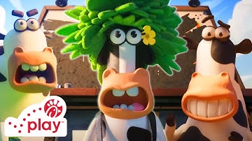 Three cows and a billboard 🐄 Compilation 🐮 A Chick-fil-A Original Story