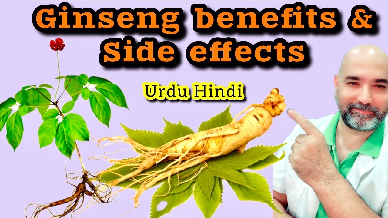 Ginseng Root Benefits and side Effects || Spanish pk