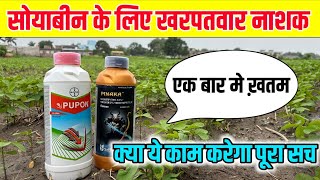 सोयाबीन के लिए खरपतवारनाशक | Bayar pupon | pinaka
