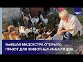 Бывшая медсестра открыла приют для животных-инвалидов