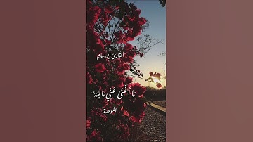 #القارئ ابو بسام