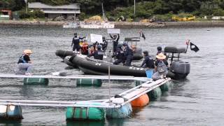 海保が反捕鯨団体想定した訓練　和歌山県太地町