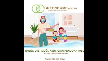Thuốc diệt muỗi, kiến, gián Fendona10SC Gói 5ml ruồi, bọ mạc, kiến ba khoang, côn trùng