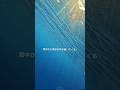 海中から奇妙な声が! #Divine #whale #shorts