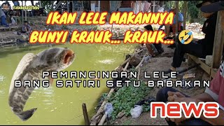 MANCING IKAN LELE‼️️MAK NYUUUUT TARIKANYA || PEMANCINGAN LELE BANG SATIRI