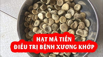 Hạt Mã Tiền Bài Thuốc Điều Trị Bệnh Xương Khớp