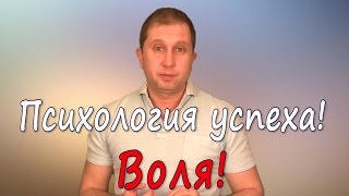 Правила успешного человека. Тема 1. Воля.